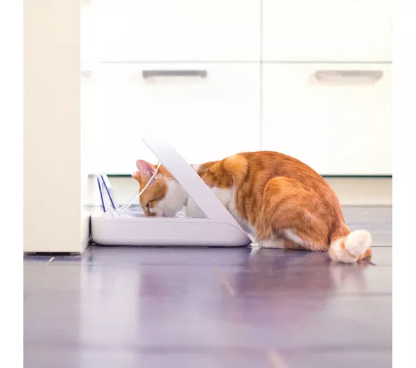 SureFlap SureFeed Microchip Pet Feeder White | For Cats & Small Dogs