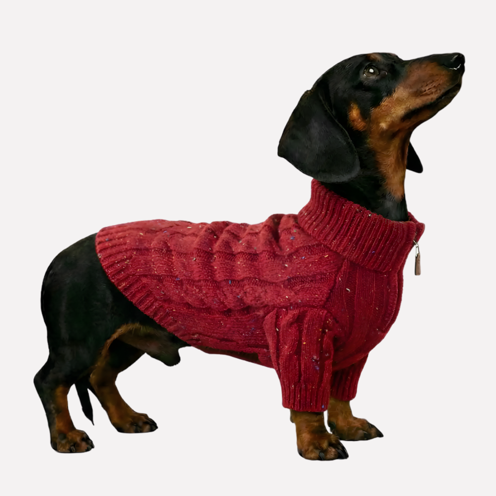 Cozy Sweater Dog Zip Up Dachshund Jumper