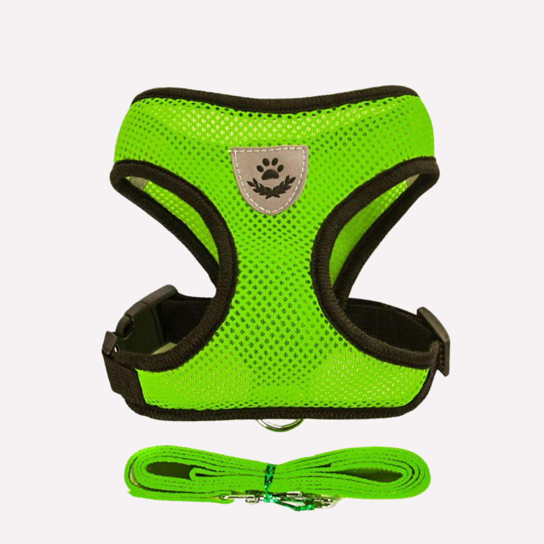 Comfortable Air Mesh Dog Harness Set
