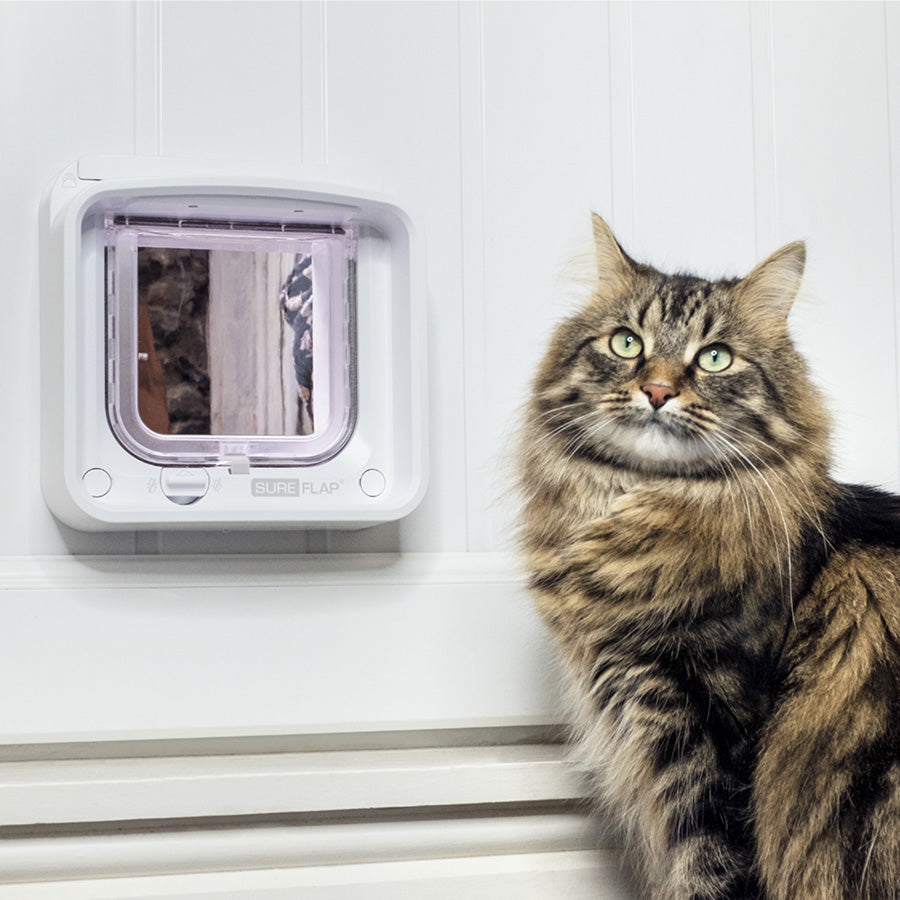 SureFlap Microchip Activated Cat Flap with Hub – Smart Pet Access Door (White)