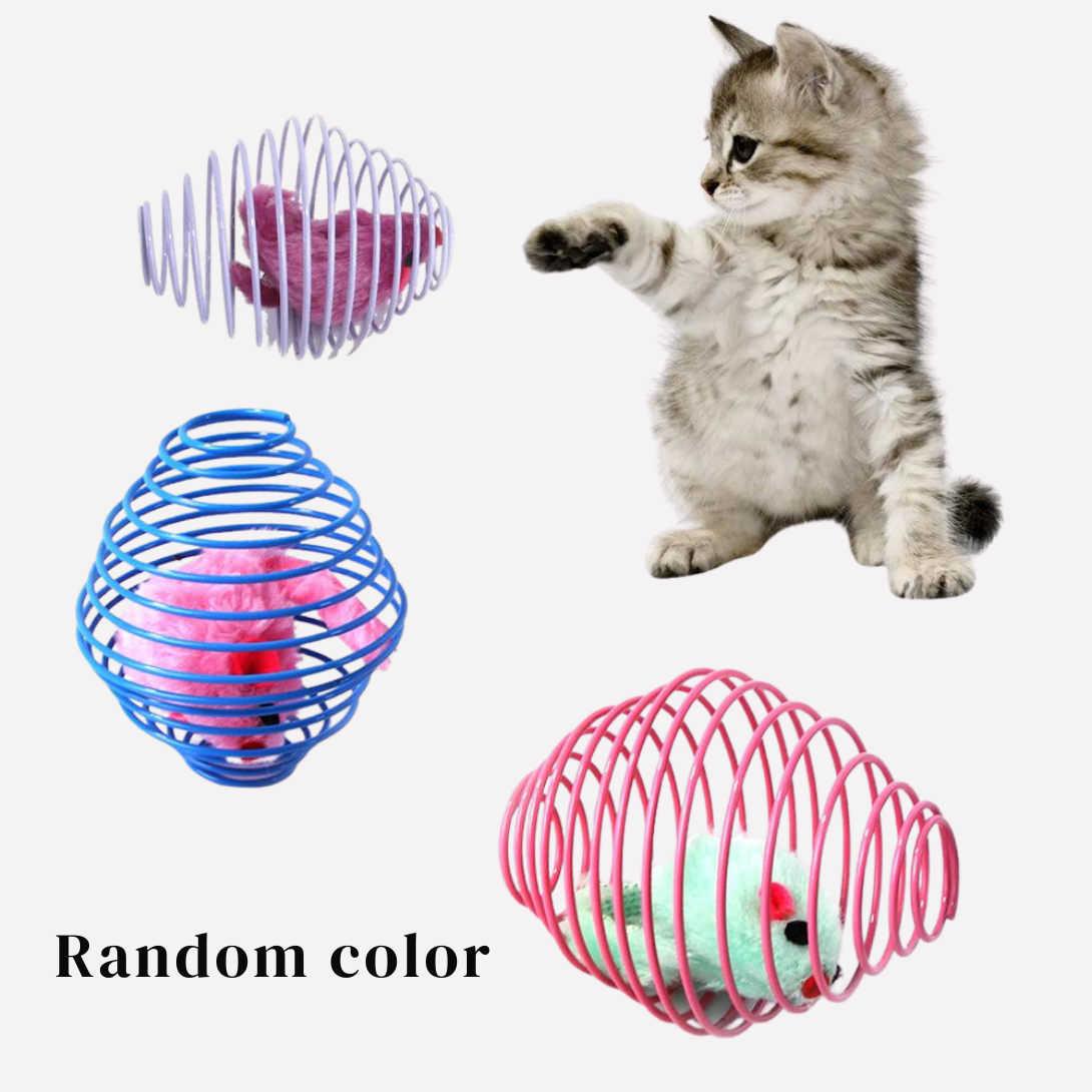Colorful Bouncing Pet Toy Balls