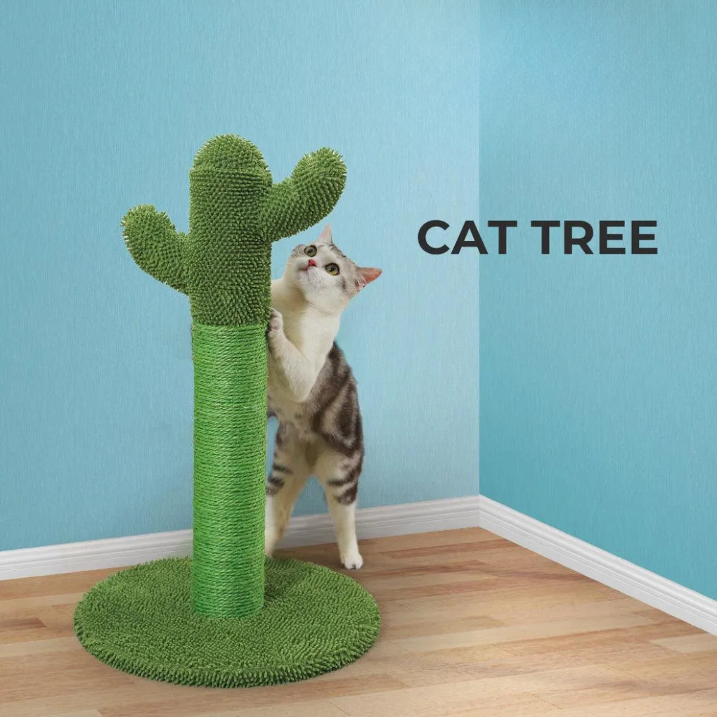 Fun Cat Climbing Cactus Tower