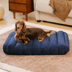 Big Plush Comfortable Dog Mattress Beds