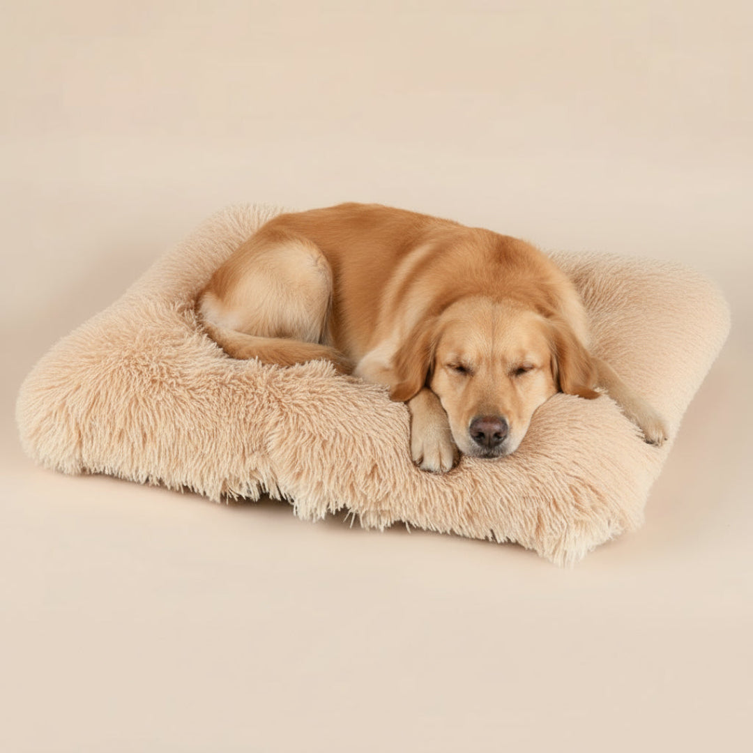 Plush Pet Bed – Cozy Orthopedic Dog Mattress